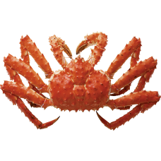 #9544/19544 阿拉斯加長腳蟹/一隻【晚市堂食】